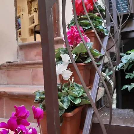 Gusto E Benessere Chic *