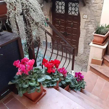 Gusto E Benessere Chic Sacrofano
